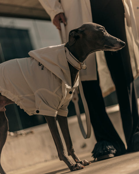 Logo Light Dog Coat