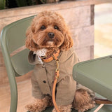 Logo Light Dog Coat - KHAKI