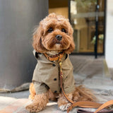 Logo Light Dog Coat - KHAKI