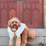 Logo Light Dog Coat - OYSTER