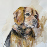 THEANIMALS MÉMOIRES