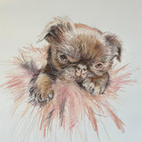 THEANIMALS MÉMOIRES