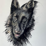 THEANIMALS MÉMOIRES