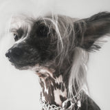 Multi Chain Necklace - RHODIUM