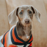 Retro Multi Stripe Grandpa Knit