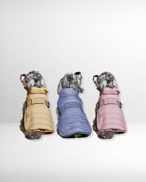 The 2-in-1 Classique Trench