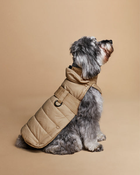 The 2-in-1 Classique Trench