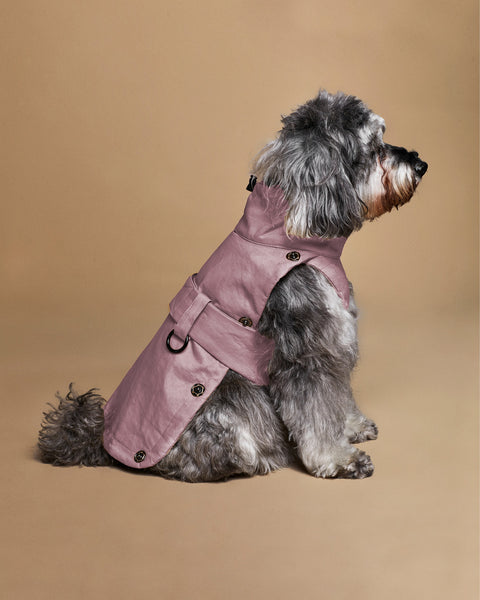 The 2-in-1 Classique Trench