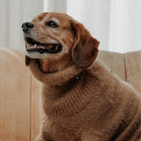 The Furry Knit - CARAMEL