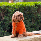 The Furry Knit - PUMPKIN