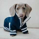 The Throwback Sports Sweater