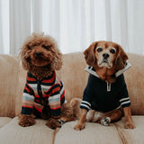 The Throwback Sports Sweater