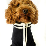 The Throwback Sports Sweater