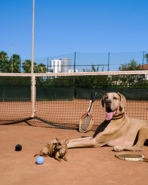 Vintage Fetch Pack